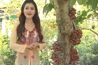 Ẩm thực miền Tây sông nước